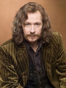 A picture of Gary Oldman as Sirius Black, with long unkempt brown hair, a goatee, an olive green jacket with stripes, and a striped purple shirt.